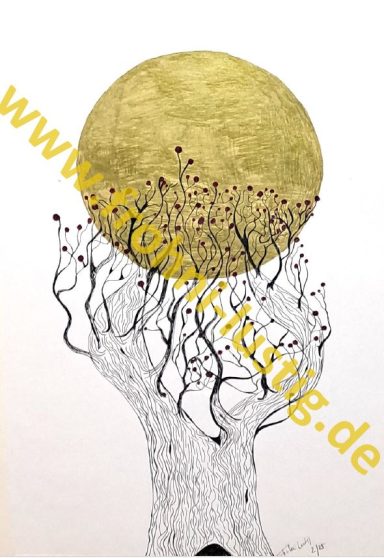 Platane im Sonnenschein Platane im Sonnenschein: Zeichnung Fineliner und Acryl